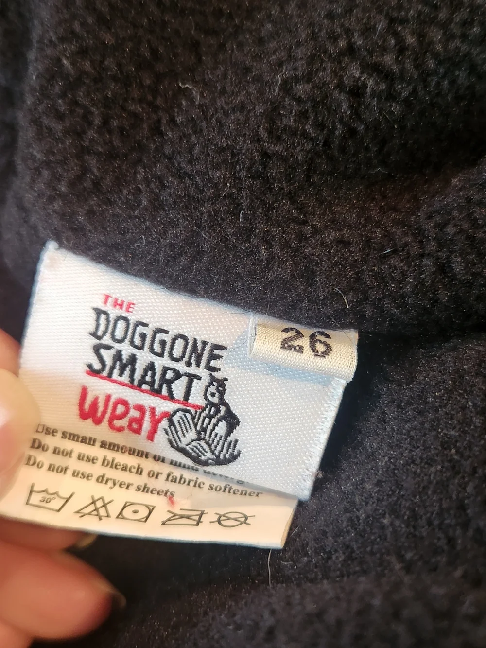 Large Dog Jacket - Gray with Teal Trim
